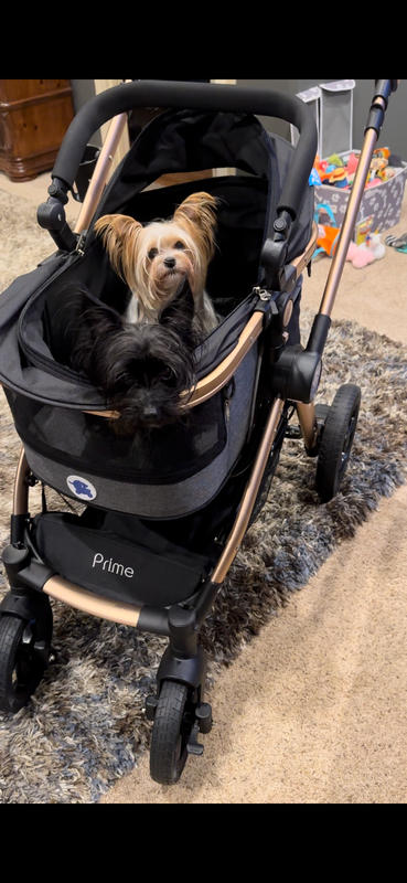 Source Dog Stroller for Large Pram Luxury Dog Strollers Premium Pet  Pushchair 4 Wheel Pet Gear Pet Stroller for Cat on m.