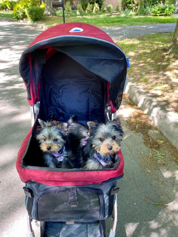 HPZ™ PET ROVER LITE Premium Light Travel Stroller for Small/Medium Dogs