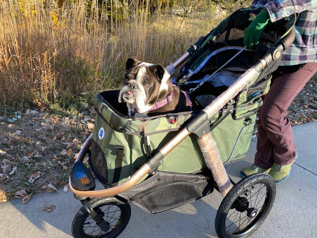 camo dog stroller