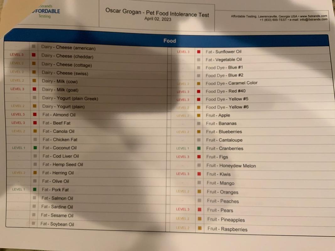 Pet Food Intolerance Test Discover Root Cause Of