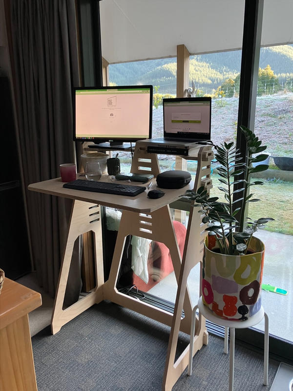 WFH Desk Factory Seconds Standing Desk Work From Home Desks NZ Work From Home Desks NZ
