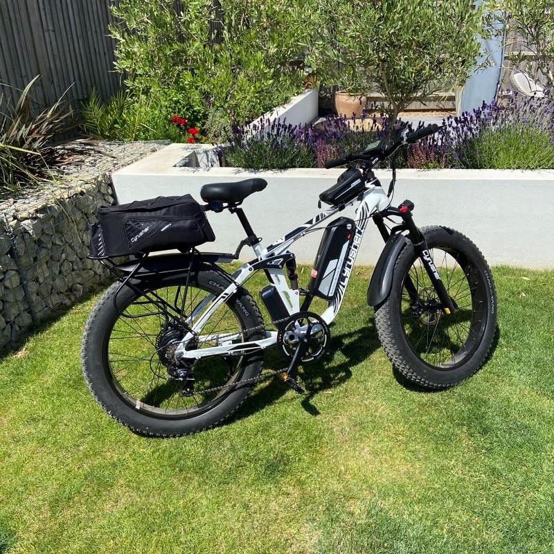 cyrusher xf660 electric bike