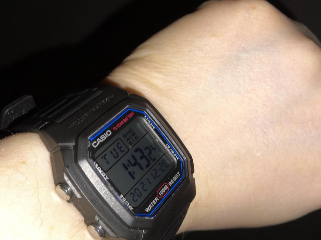 casio w800