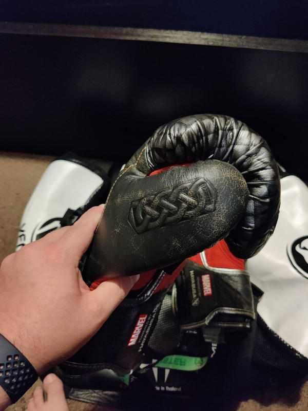 hayabusa thor gloves