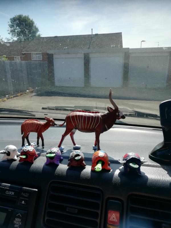 Bongo Antelope Figurine | CollectA Collectable Animal Figure – Bigjigs Toys
