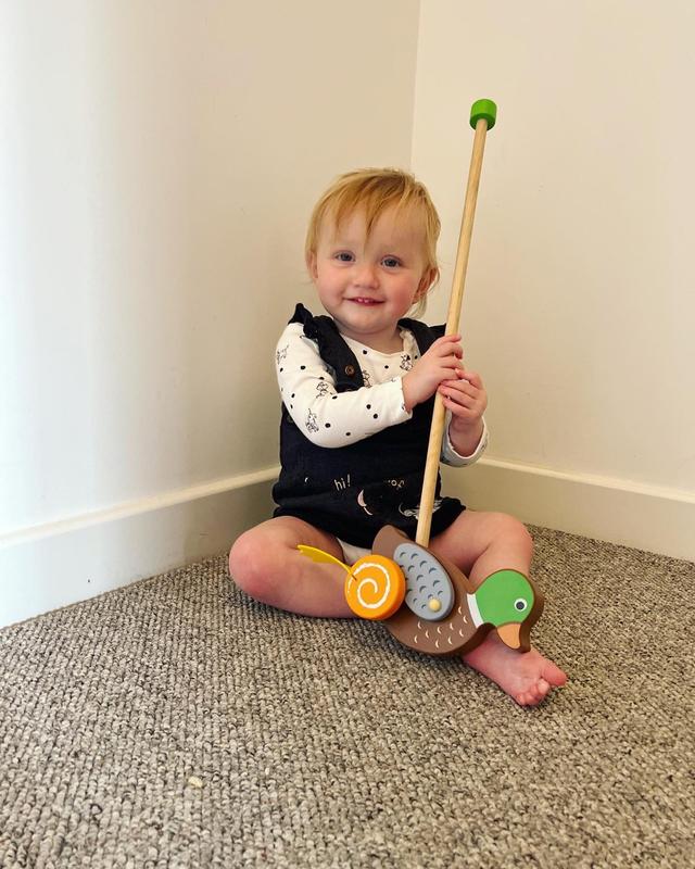 Push Along Toy Duck Wooden Push Along Toys Bigjigs Toys