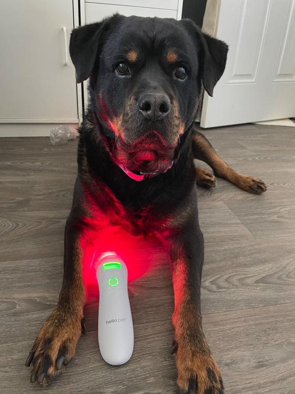Helio Pet Reviews