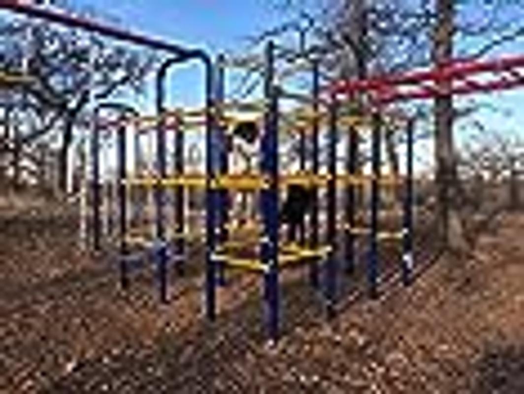 ActivPlay Monkey Bars Accessory Module - SJG203.1