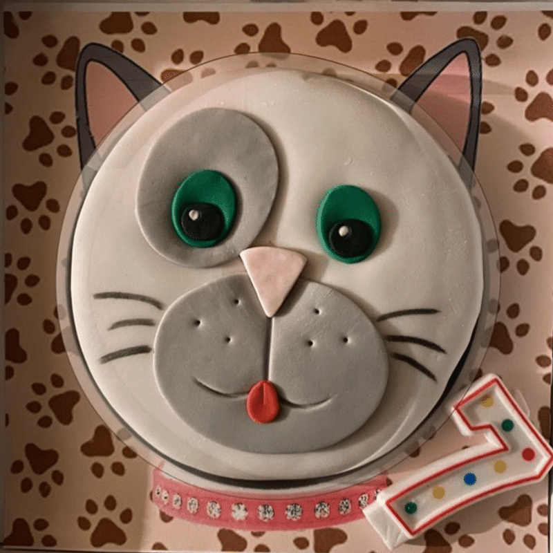 Beautiful cat cake ideas in 2023 | Cat cake, Birthday cake for cat, Kitten  cake