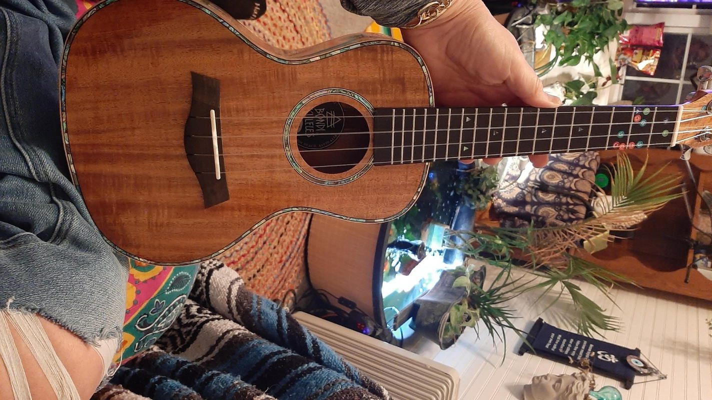 Ripple Koa Concert Ukulele Bundle Bondi Ukuleles