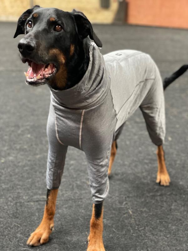 dog body warmer