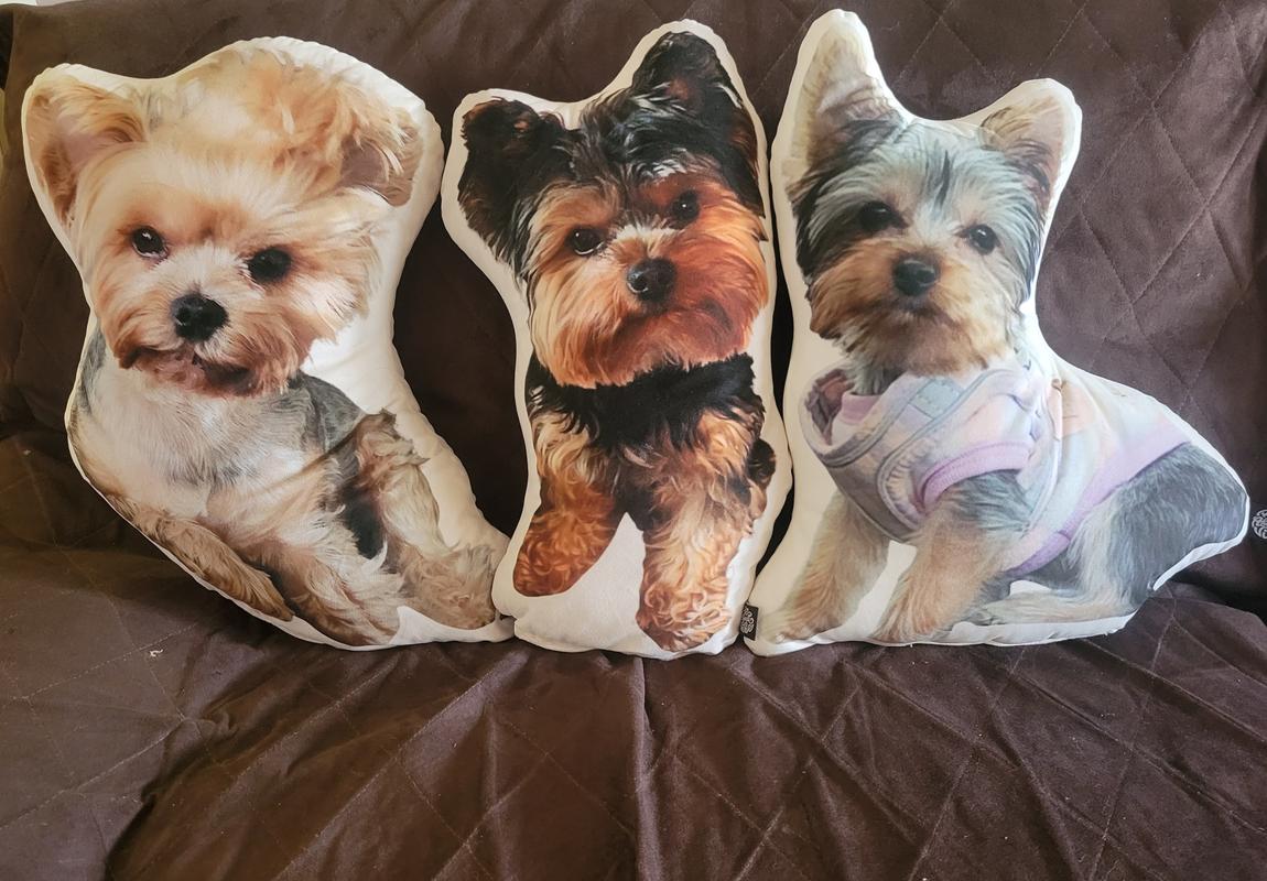 now customized dog pillow