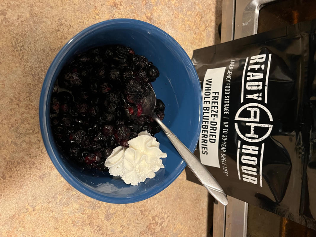 FreezeDried Blueberries Emergency Food Case Pack Ready Hour Bulk