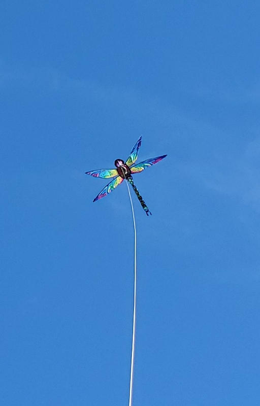 Includes Line From Premier Kites 16113 58 inch 3-D Dragonfly Kite 