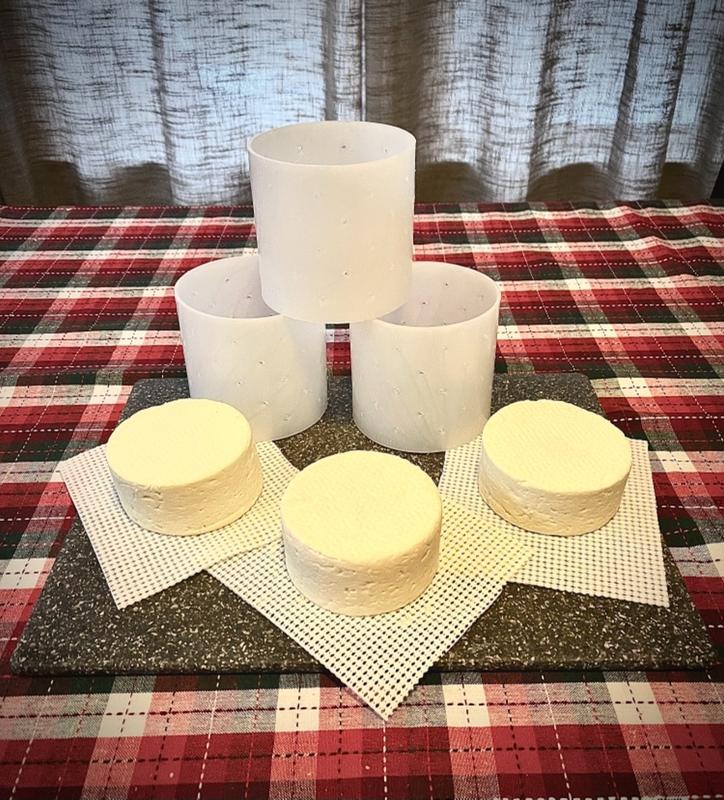 Camembert Cheese Mold How to Make Cheese Cheese Making