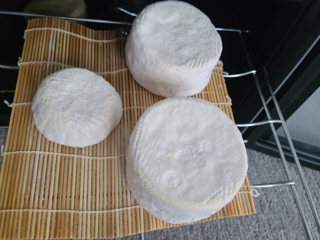 Reed Cheese Mat How to Make Cheese Cheese Making Supply