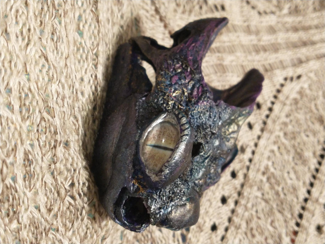 Real Common Snapping Turtle (XLarge) For Sale Skulls Unlimited