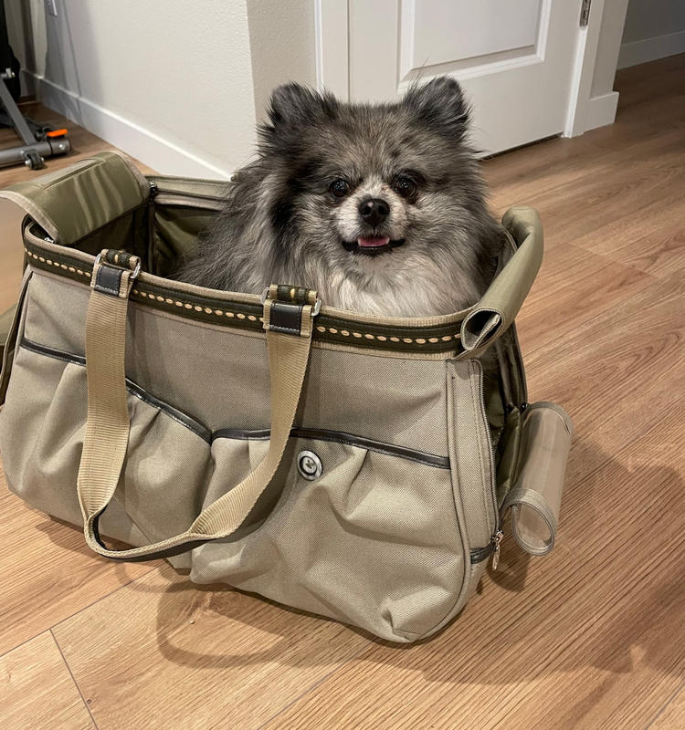 Elegant Designer Dog Carrier for a 6 lbs Yorkie - Celltei