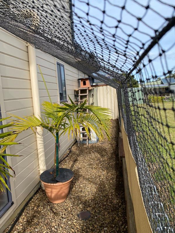 cat enclosure netting bunnings