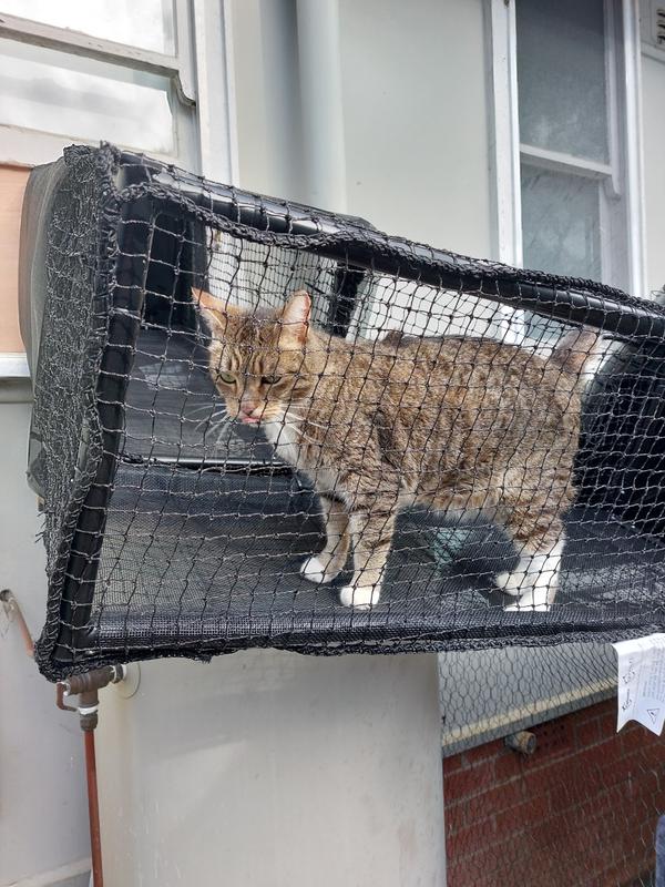 Cat Tunnel – Catnets