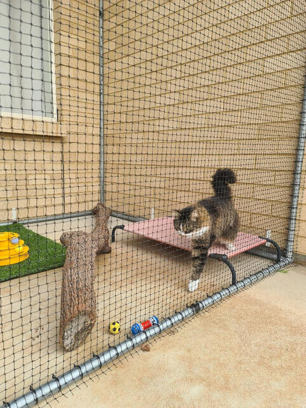 Premium Cat Netting W/ Stainless Steel (bythemetre)