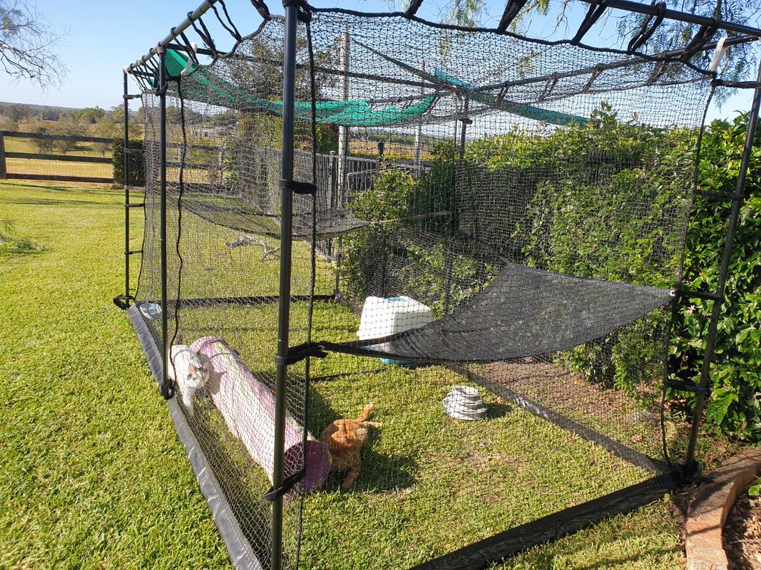 Premium Portable Cat Enclosure Double 3.6m