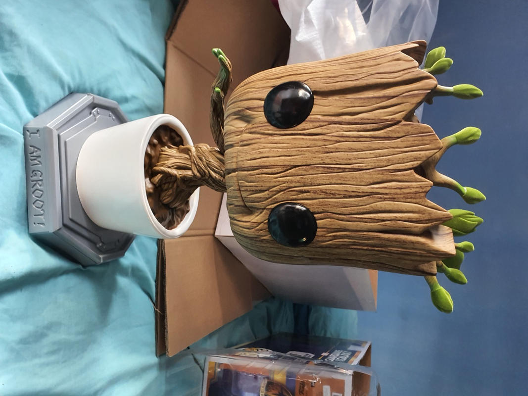 groot flocked
