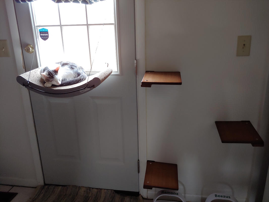 Cat Step Shelf ⋆ Catastrophic Creations