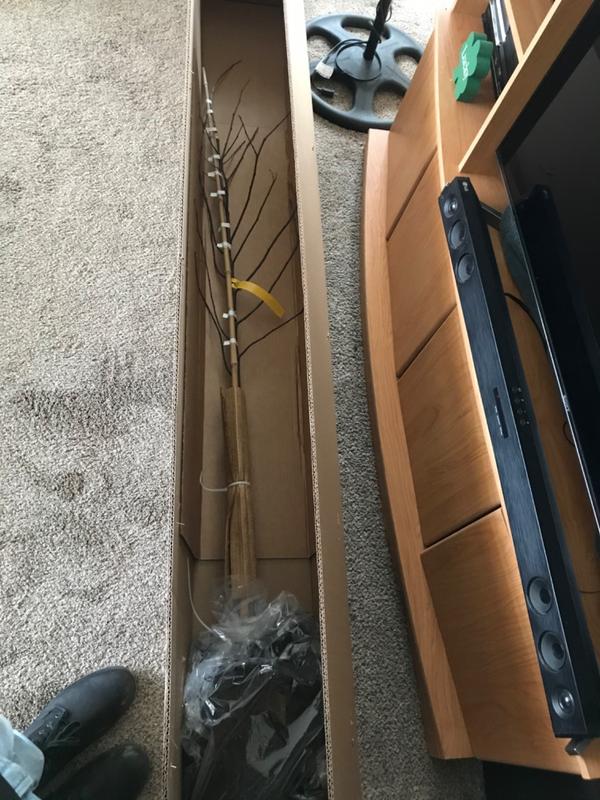 Oklahoma Redbud Trees for Sale