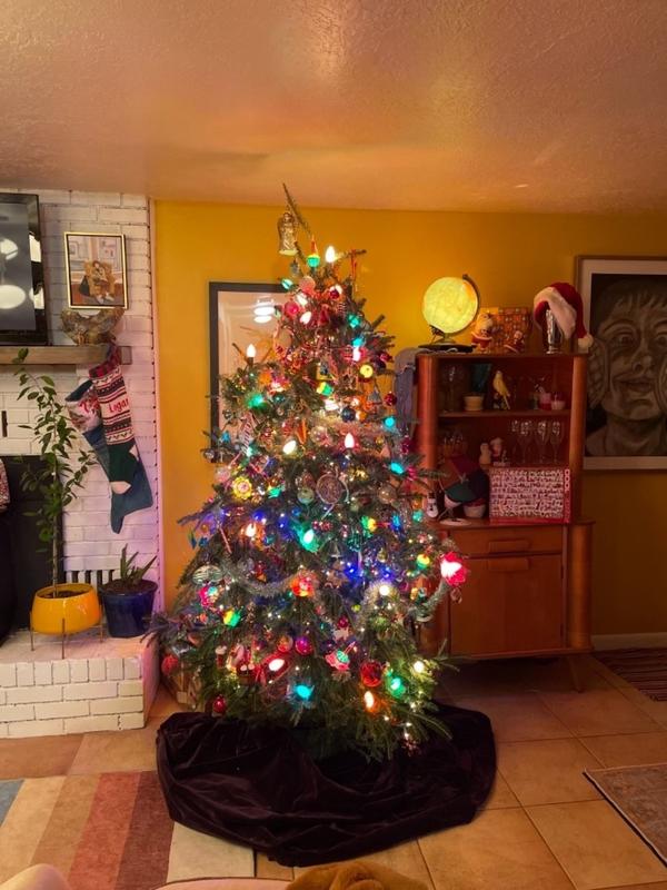 Fraser Fir Christmas Trees for Sale