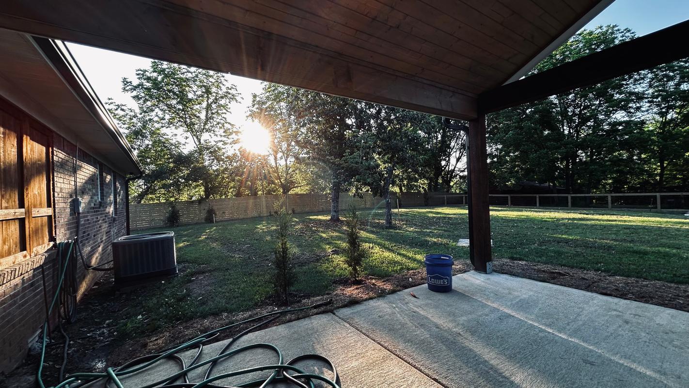 Taylor Juniper Trees for Sale