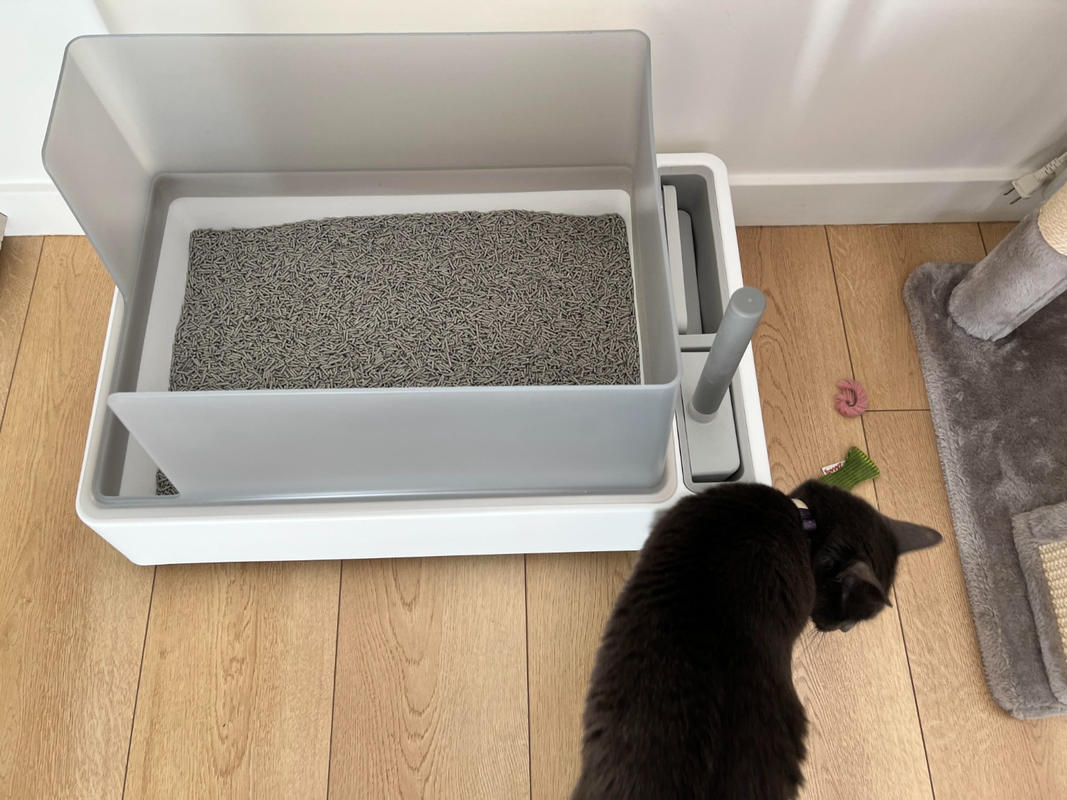 tuft and paw cove litter box