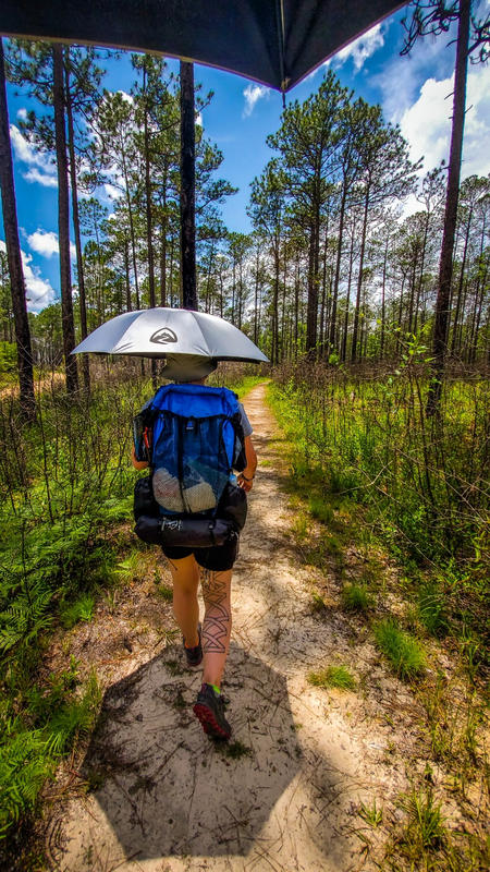 Zpacks Lotus UL Umbrella Review [2023 ] BikeHikeSafari