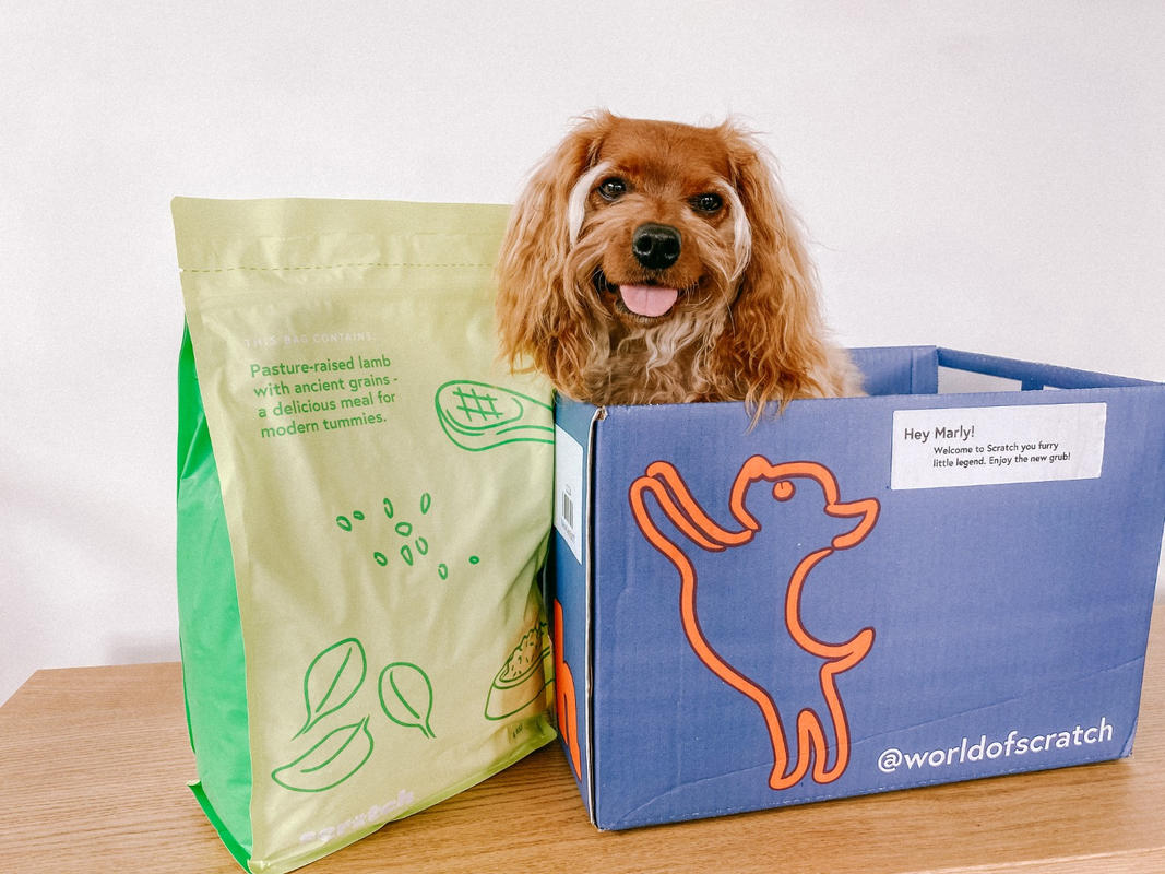 Singleprotein Lamb Kibble with grains Scratch