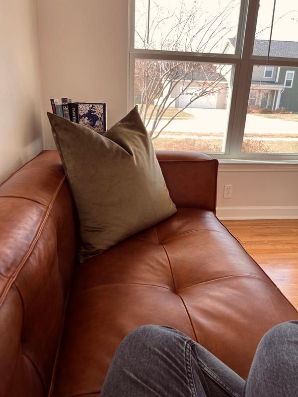 Poly & Bark Capa Sofa Review