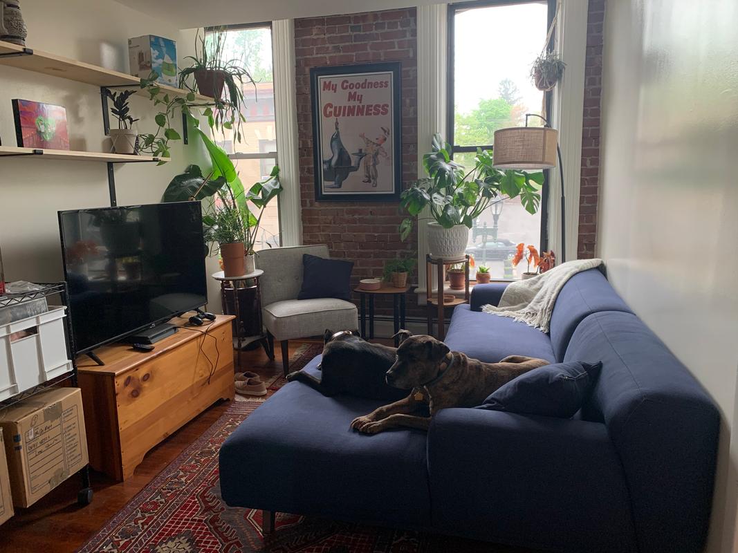 Soho Grey Fabric Walnut Right Facing Sectional Sofa Poly & Bark