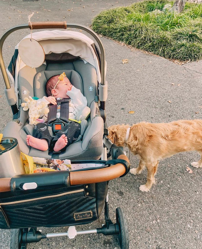 Infant Car Seat Adapter Mockingbird