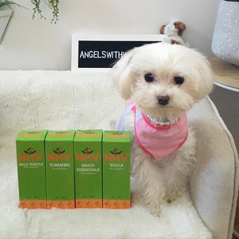 milk thistle safe for dogs