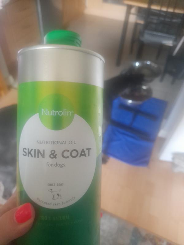nutrolin skin & coat oil