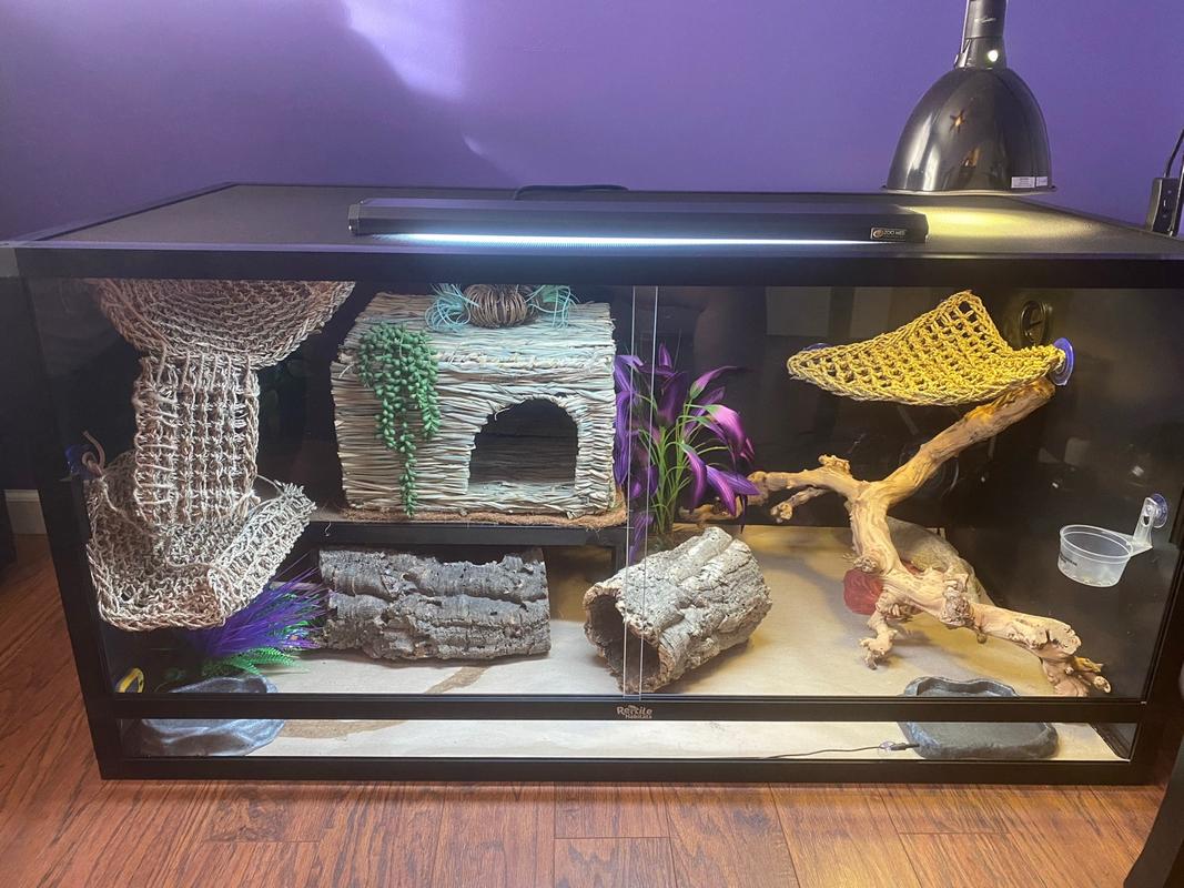 How To Build A 120 Gallon Bearded Dragon Tank Builders Villa