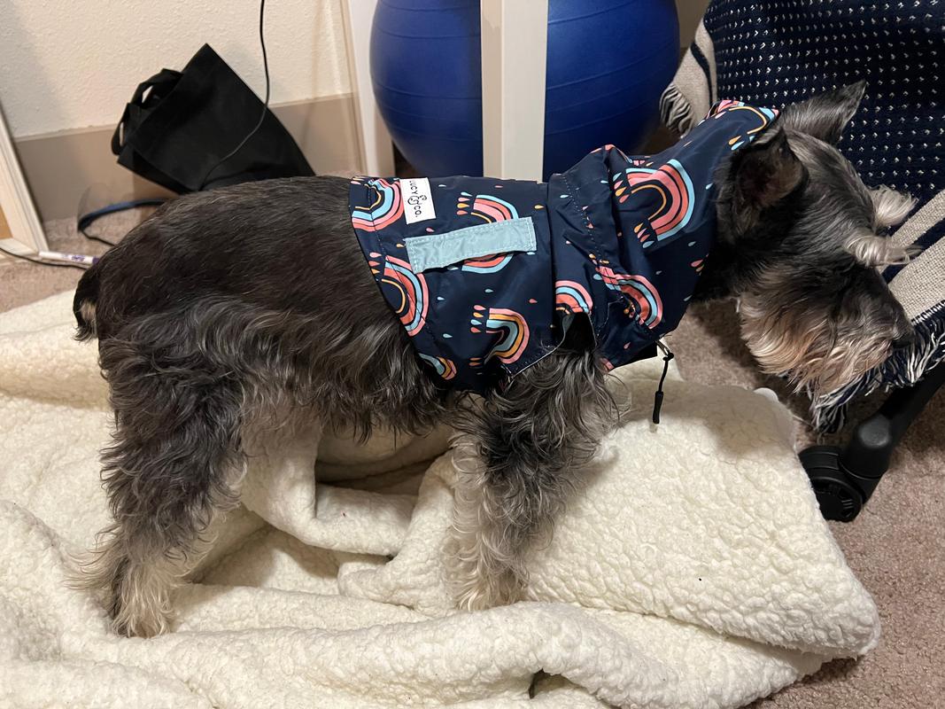 service dog raincoat