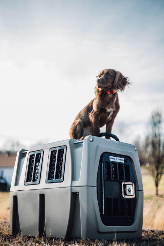 Medium Dog Kennel GUNNER®