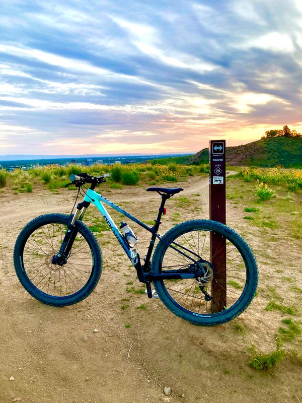 polygon hardtail 2021