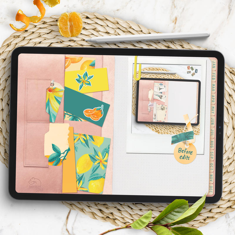 Customizable Digital Bullet journal Procreate + Keynote files includ