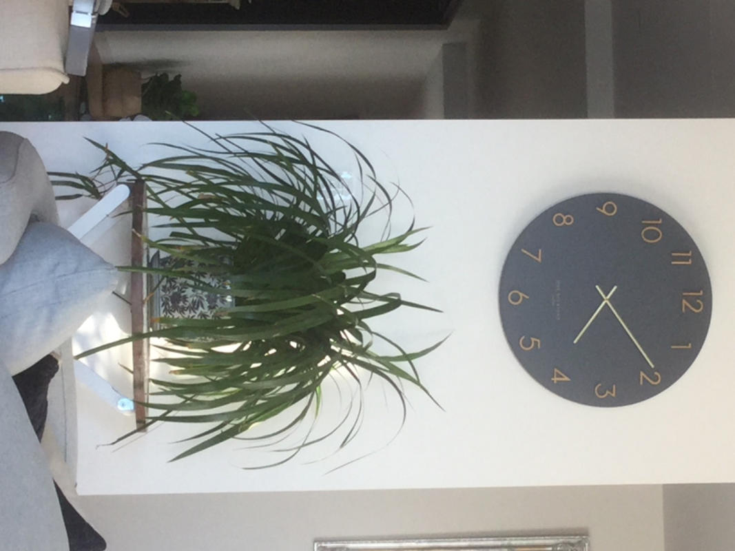KATELYN Charcoal Grey 40cm Metal Wall Clock