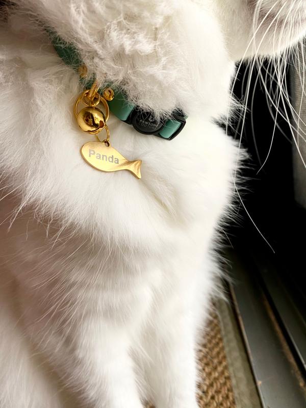 yellow cat collar