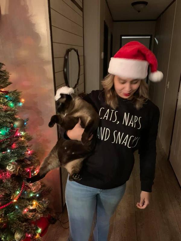 cats naps and snacks jumper