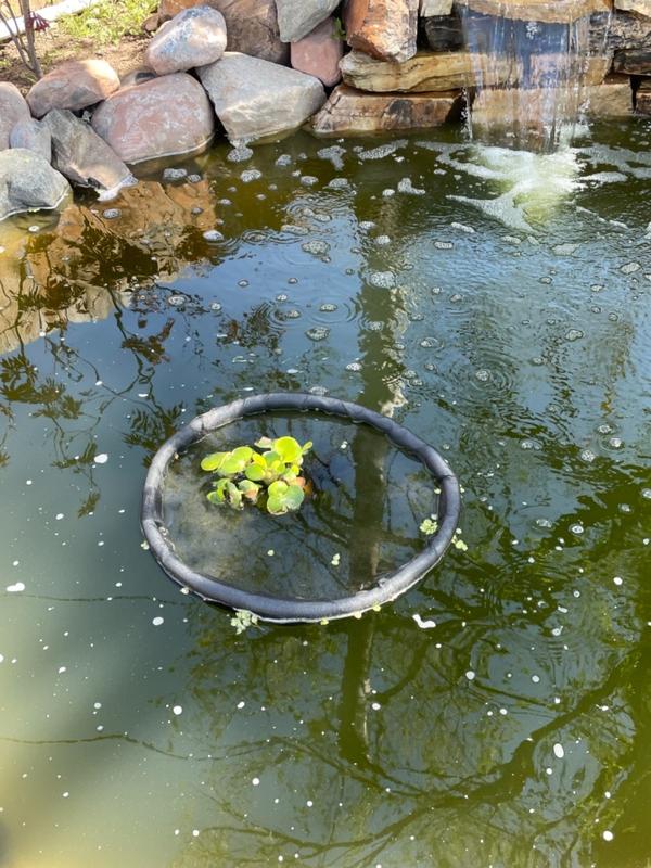Floating Flora Fish Barrier 24.8in Round Fine Mesh Floating