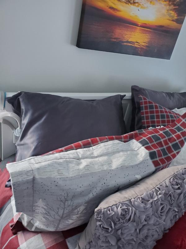 Blissy 100 Mulberry 22Momme Silk Pillowcase Grey Queen