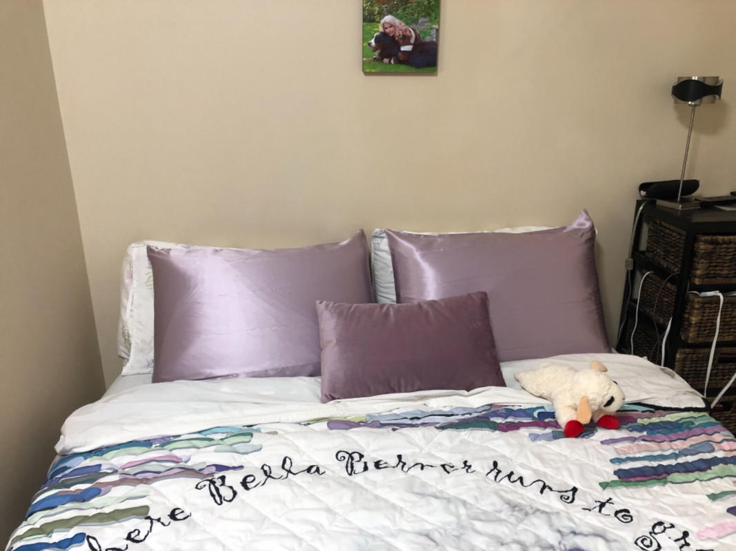 Blissy 100 Mulberry 22Momme Silk Pillowcase Lavender Standard